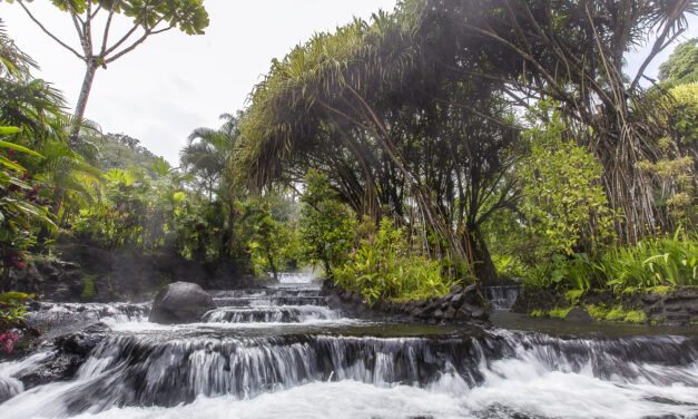 Costa Rica Selected as 2024 Destination of the Year – We Called It Too!