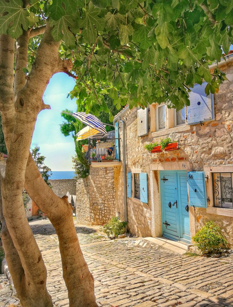 Monte, Rovinj (Photo Credit: Tourist Board of Rovinj)