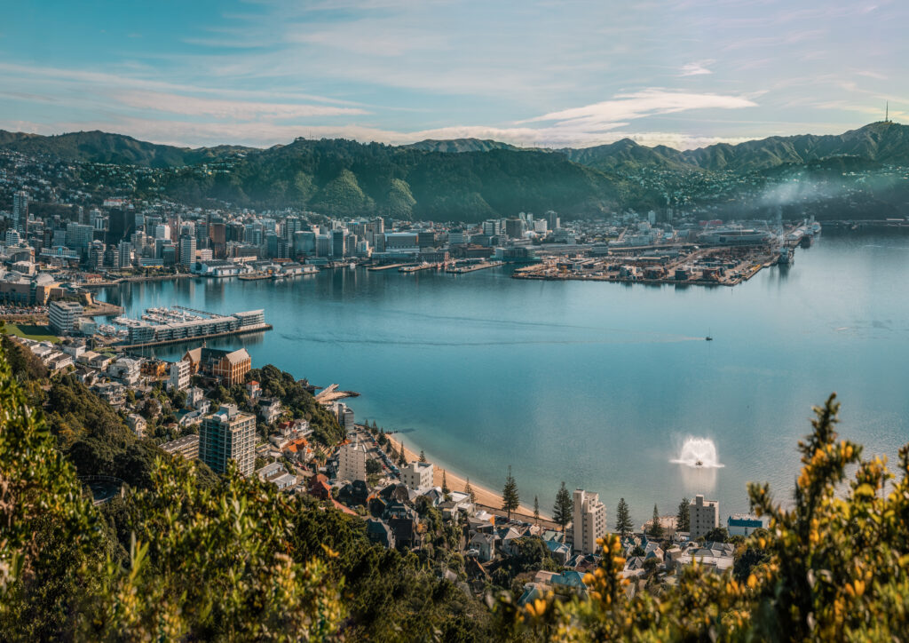 Panoramic view of Wellington from Mount Victoria (Photo Credit: WellingtonNZ)