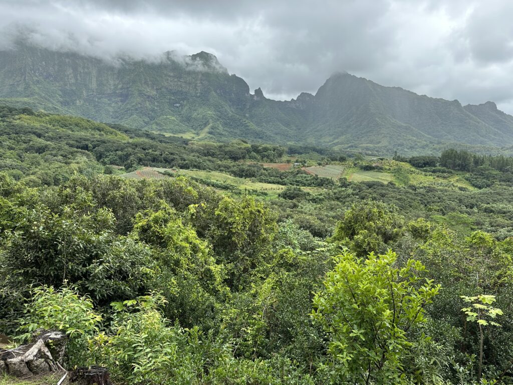 The view from Raiatea's Le Belvédère De Faaroa (Photo Credit: Jared Ranahan)