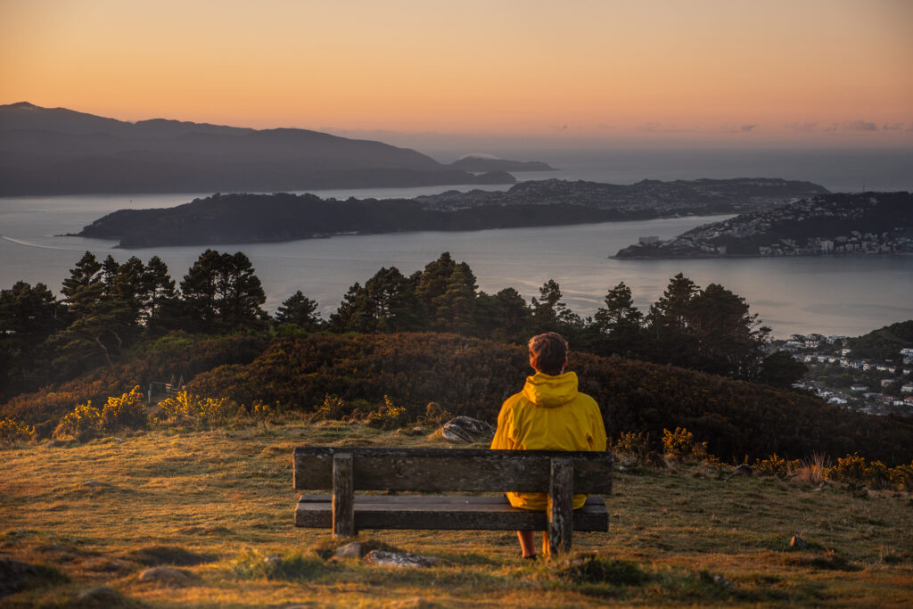 View from atop Mount Kaukau in Wellington, NZ (Photo Credit: WellingtonNZ)