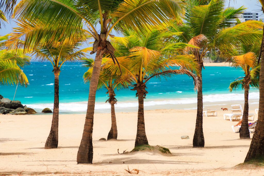 Condado Beach, Puerto Rico (Photo Credit: Dennis van de Water / Shutterstock)