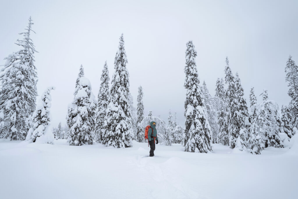 Trekking through snow in Lapland, Finland (Photo Credit: Envato Elements)