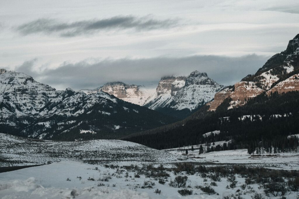 Yellowstone National Park in Wyoming (Photo Credit: Dave Herring on Unsplash)