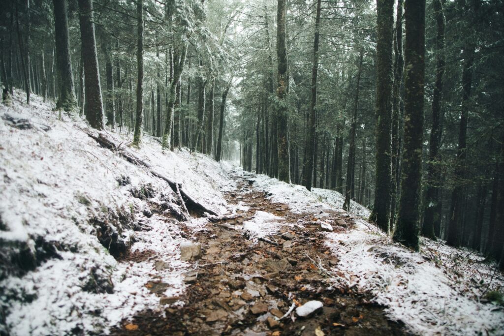 Great Smoky Mountains National Park (Photo Credit: Wes Hicks on Unsplash)