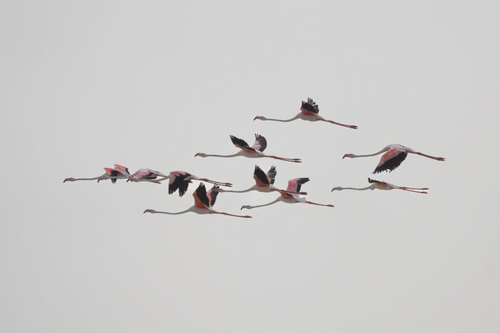 Orango, Guinea-Bissau (Photo Credit: Jan Hvizdal/Hurtigruten Expeditions)