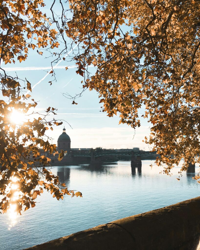 Toulouse, France (Photo Courtesy of DesignRush)