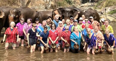 You Are Invited on the Ultimate Thailand Adventure