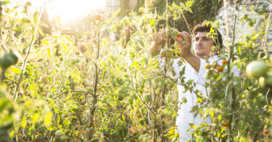 Multi-Michelin-Starred Chef Returns to Four Seasons Resort Palm Beach