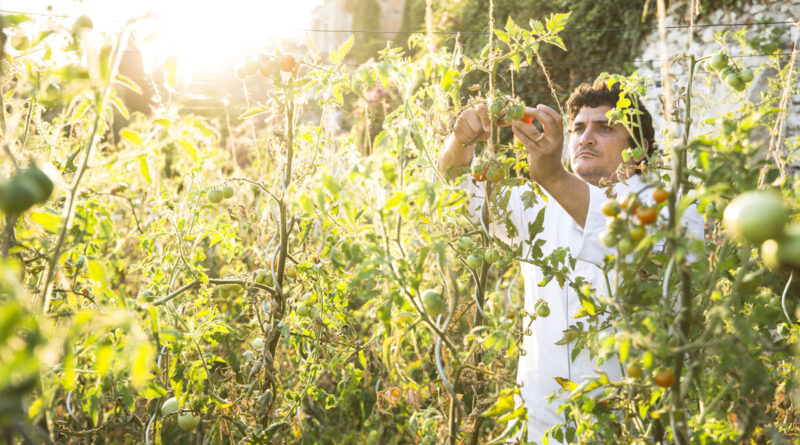 Multi-Michelin-Starred Chef Returns to Four Seasons Resort Palm Beach