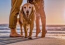 Here Are America’s Top 10 Friendliest Cities
