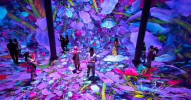 Immerse Yourself in Nature’s Wonders at This NYC Exhibition