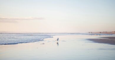 Top 11 Hidden Coastal Spots in the U.S. for 2025