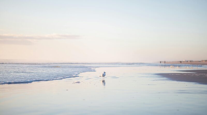 Top 11 Hidden Coastal Spots in the U.S. for 2025