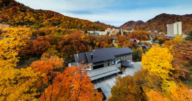 Take a Tour of This Luxury Chalet in Japan