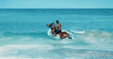 Top 10 International Beach Destinations That Aren’t in Europe