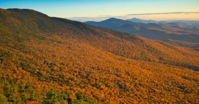 Top 5 Most Affordable Fall Foliage Destinations in the U.S.