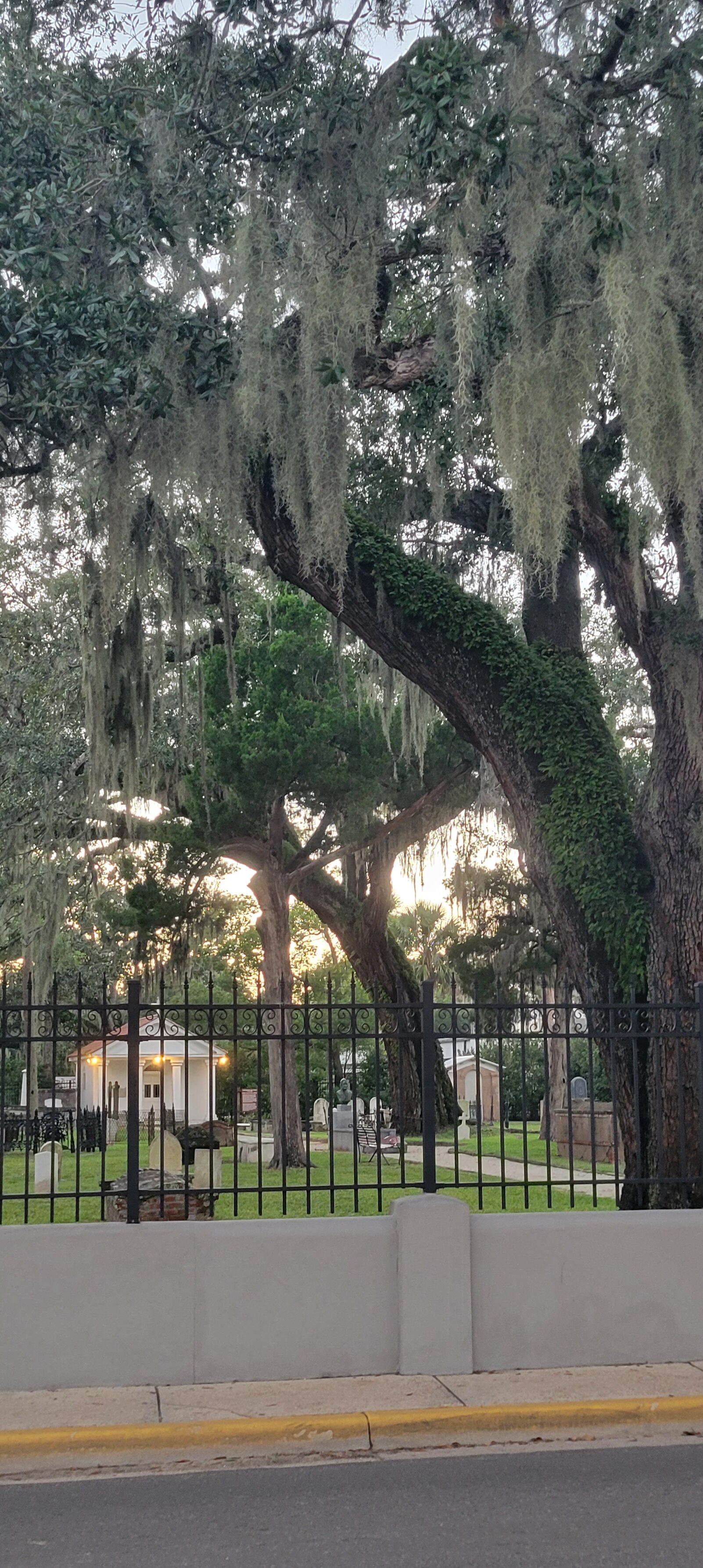 (Photo Credit: Lisa Colon / Ancient City Tours)