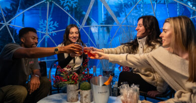 Manhattan’s Favorite Winter Wonderland is Back at Bryant Park!
