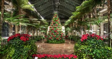 Historic Holiday Charm in Wilmington, Delaware