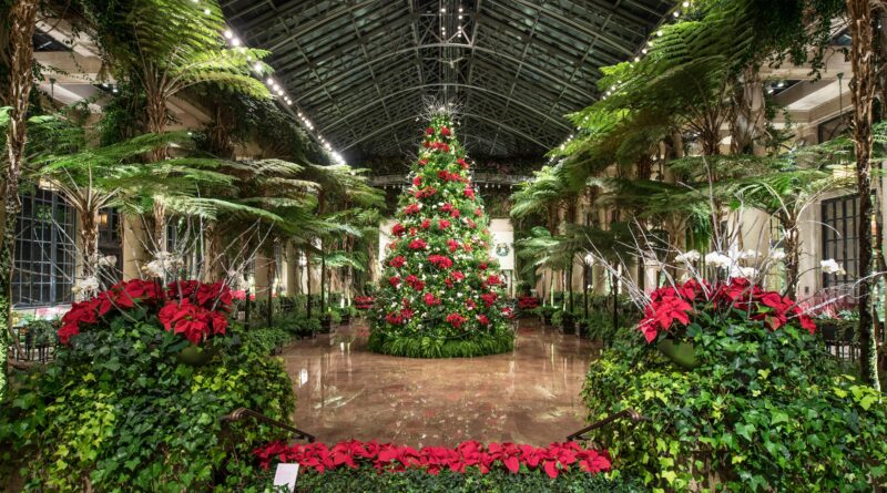 Historic Holiday Charm in Wilmington, Delaware