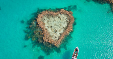 Sun-Soaked Adventures on the Most In-Demand Island Off the Coast of Australia