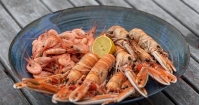 A Quick Guide to What’s New in Foodie Sweden