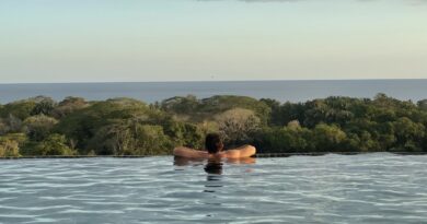 Experience Plant-Based Medicine Safely at These Luxury Retreats