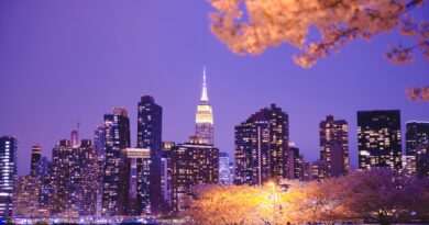 Our Pick of Picture Perfect Cherry Blossoms and More in New York State