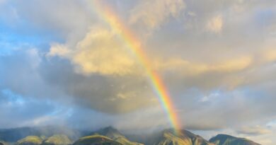 Top 5 Destinations to Experience True 5-Star Resort Living