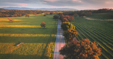 Santa Maria Valley’s Wine, Beaches & Affordable California Getaways