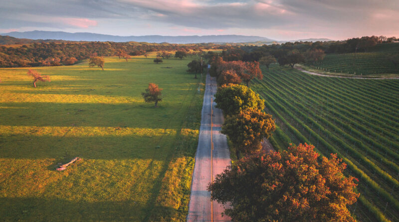 Santa Maria Valley’s Wine, Beaches & Affordable California Getaways
