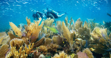 This is the Best Time to Visit Key West and the Florida Keys