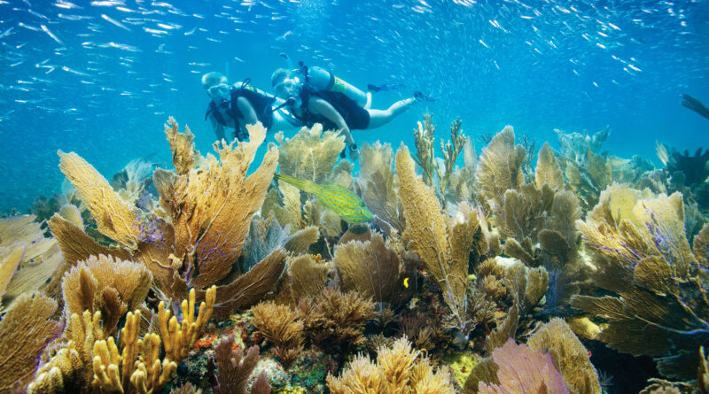 This is the Best Time to Visit Key West and the Florida Keys