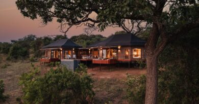 This Picturesque Serengeti Lodge Has Completed Renovations