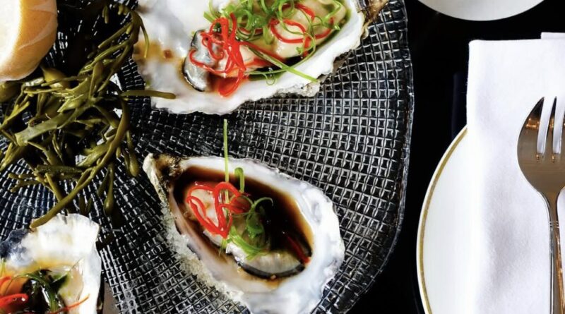 Shuck, Sip, Repeat: The Ultimate Raw Bar Rendezvous for World Oyster Day