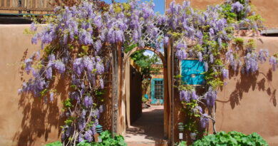 This Famed Santa Fe Inn Has the Ultimate Summer Offer