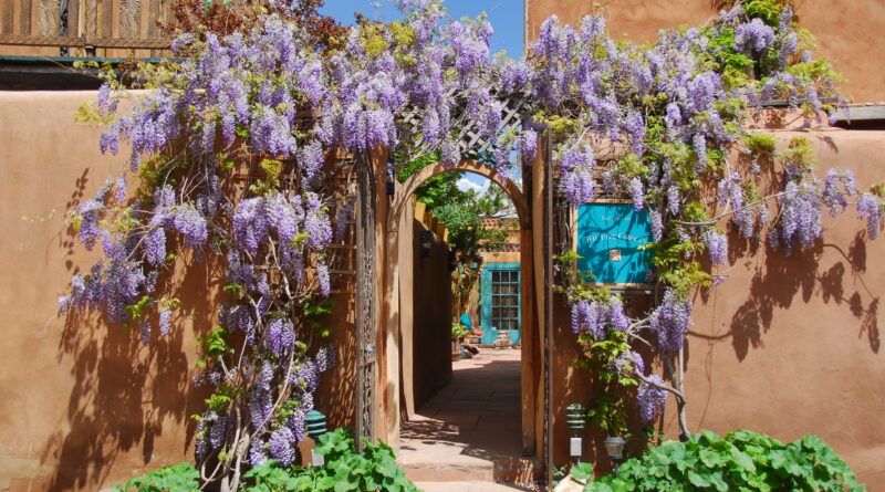 This Famed Santa Fe Inn Has the Ultimate Summer Offer