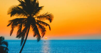 Goa: India’s Surprising, Sunny LGBTQ Escape