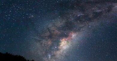 How to View the Moonless Perseid Meteor Shower
