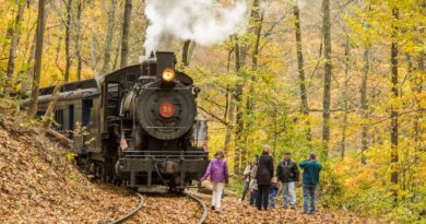 All Aboard for Fall: Leaf-Peeping on Laid-Back Train Trips