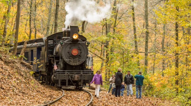 All Aboard for Fall: Leaf-Peeping on Laid-Back Train Trips