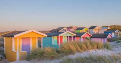 Stay For Free on Sweden’s Beachfront—If You Can Meet This One Condition