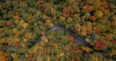 New York’s Fall Foliage Season Begins as I LOVE NY Releases First Weekly Report