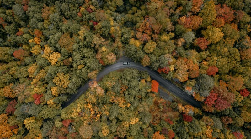 New York’s Fall Foliage Season Begins as I LOVE NY Releases First Weekly Report