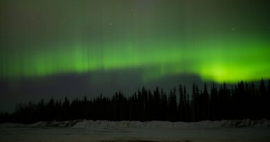 Get Lit in Alaska: A Guide to Fairbanks and the Northern Lights 
