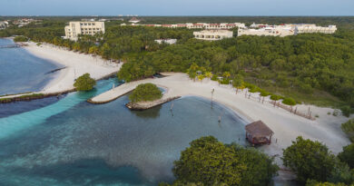 Jungle Vibes, Inclusive Luxury: Kimpton Tres Ríos Opens in Mexican Nature Reserve