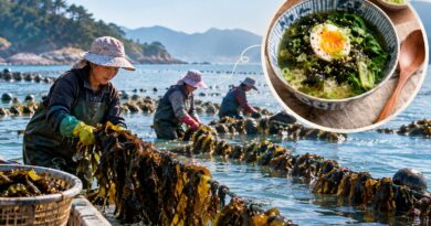 OMA Nourishing Seaweed Soup: The Korean Wellness Ritual Perfect for Travel