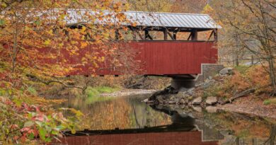 Gold Leaves & Old Timber: The Covered Bridges of the Brandywine Valley
